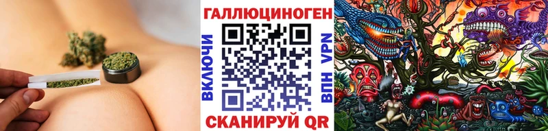 hydra ссылка Малмыж Галлюциногенные грибы Psilocybine cubensis